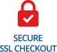 Secure SSL Check out
