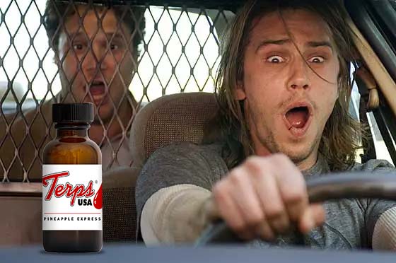 Pineapple Express dashboard Terps USA