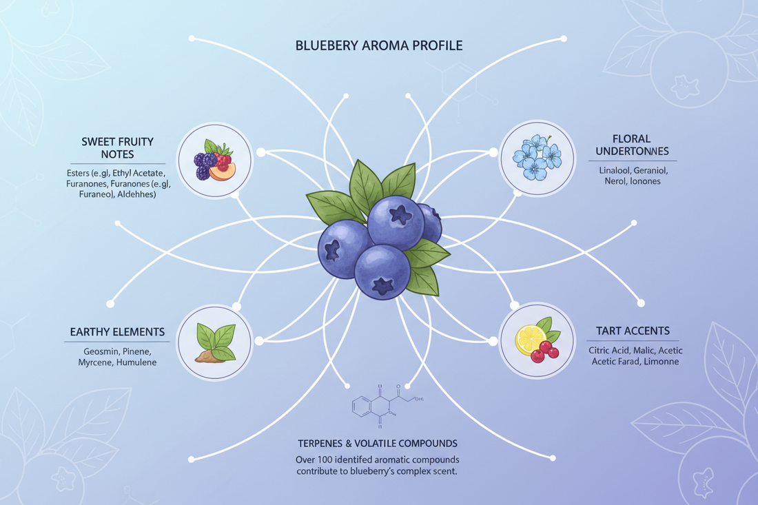 Blueberry Aroma Breakdown